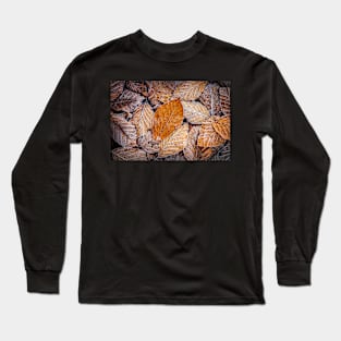 Frosty Beech Leaves Long Sleeve T-Shirt